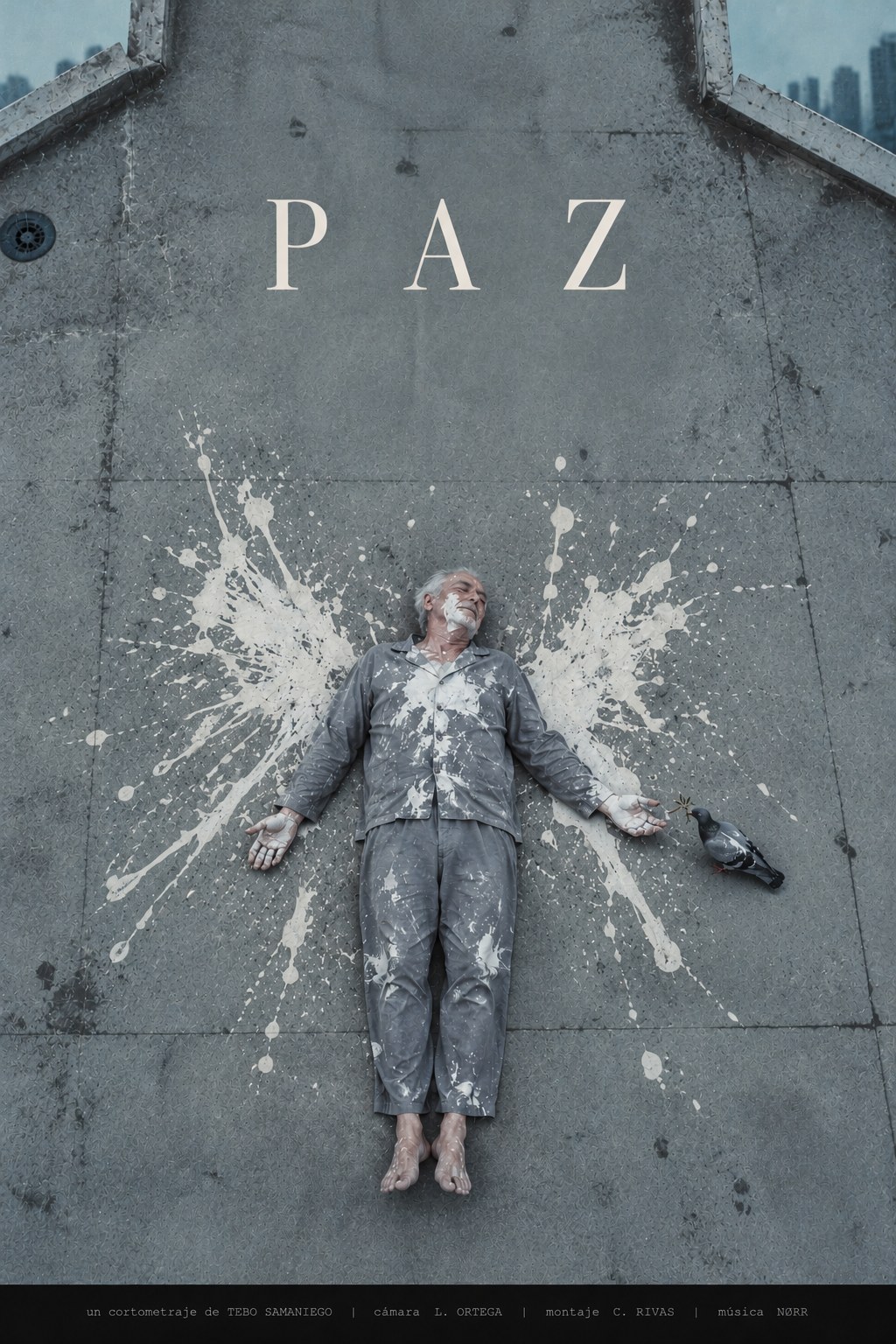 Imagen de PAZ: un hombre tumbado, cubierto de pintura blanca, junto a una paloma