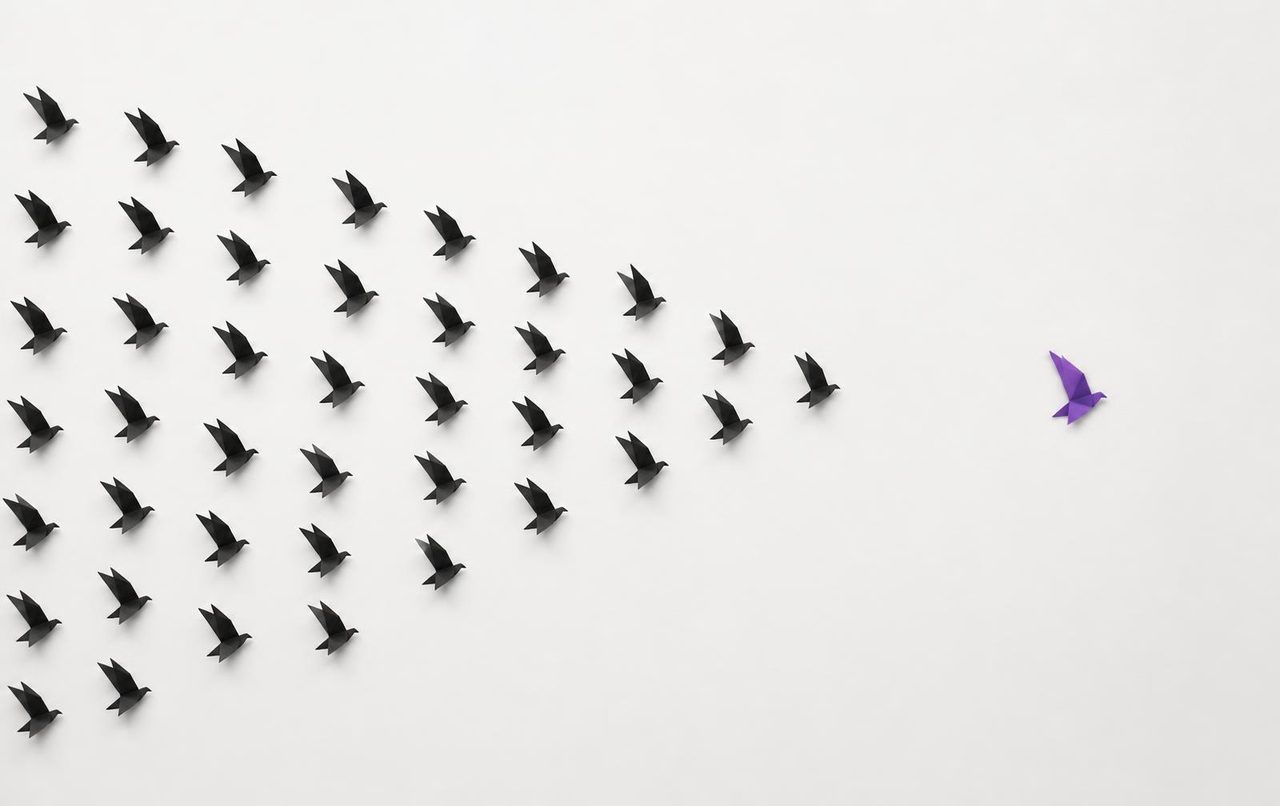 Bandada de aves en blanco y negro con un ave destacada en morado eléctrico